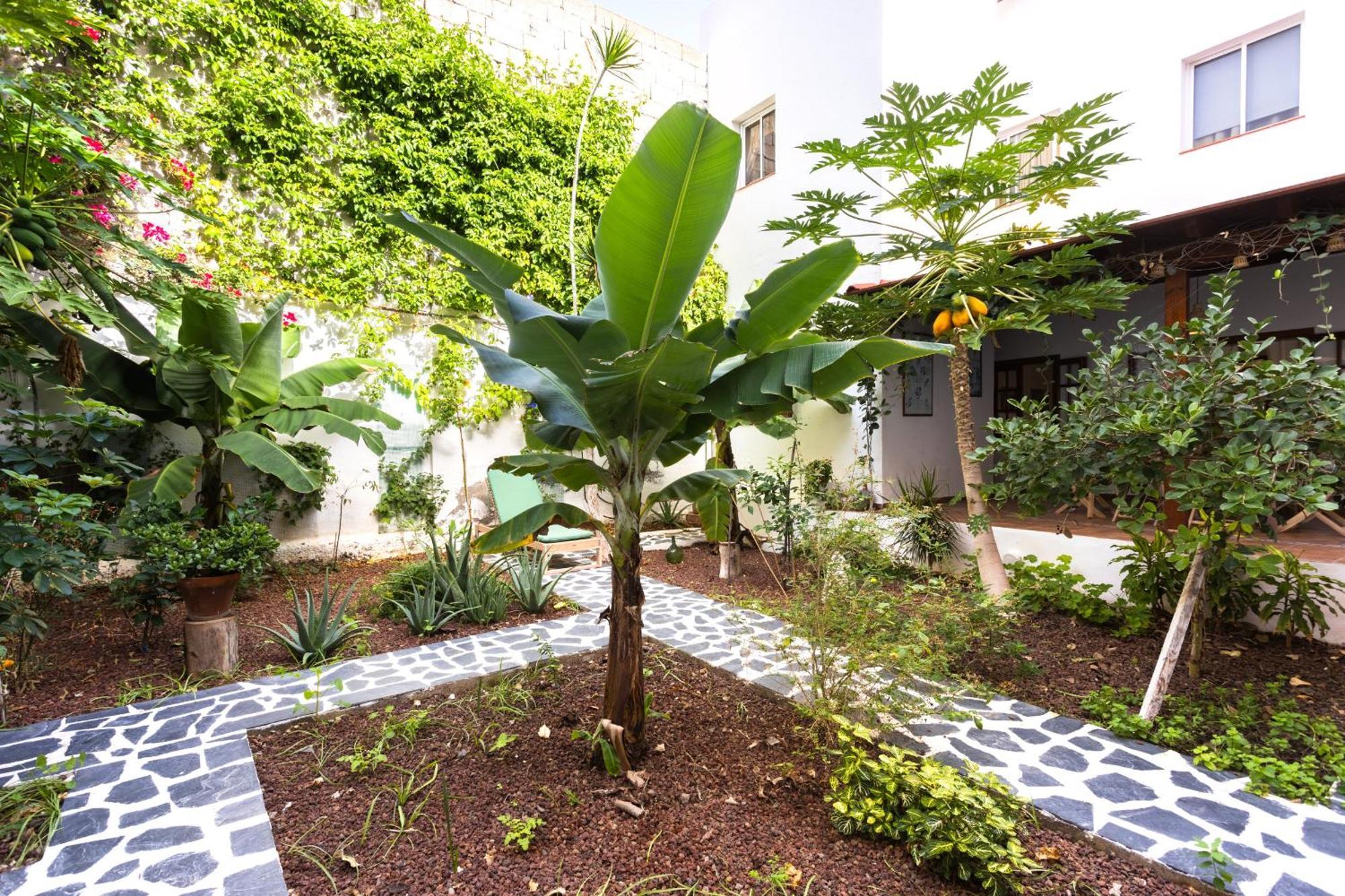 Garachico Center Secret Garden Villa Exterior photo